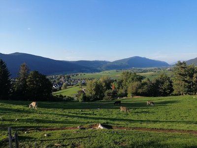 La plaine de Lans