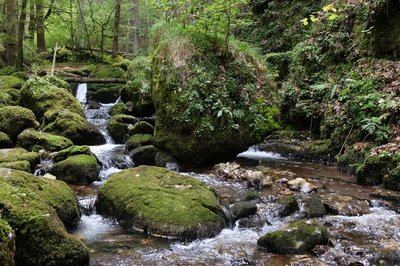 Le vallon du Bruyant