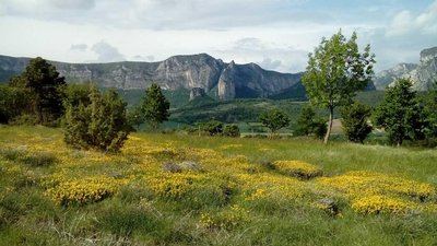Le Grand Quinson